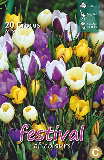 Krokus miks